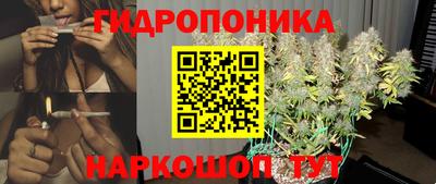 сатива Краснокаменск