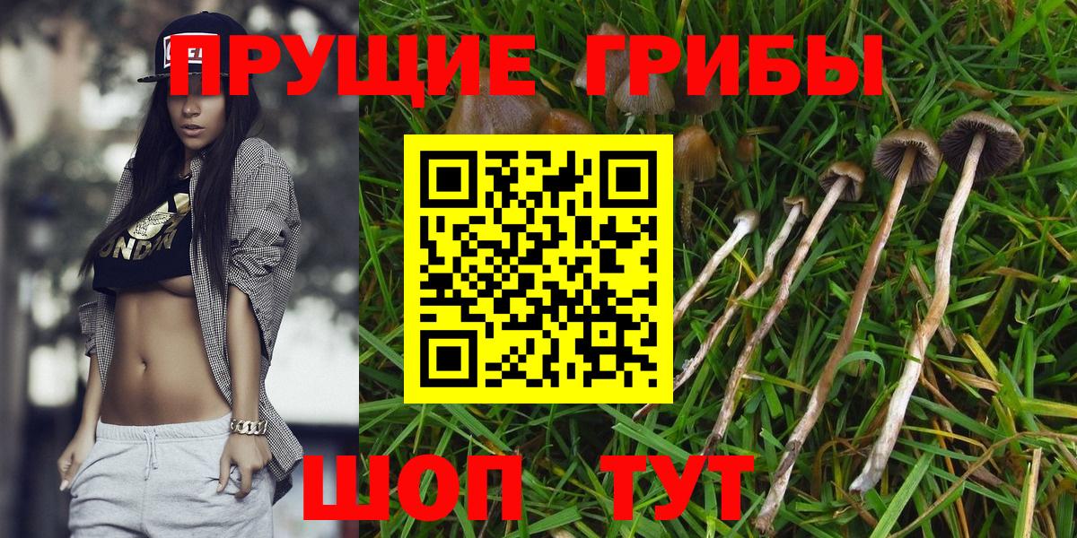 Псилоцибиновые грибы ЛСД  Галлюциногенные грибы Magic Shrooms  Ишим  Вход с VPN 